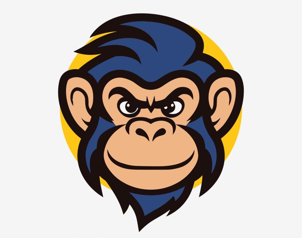 智媒导航官方公众号